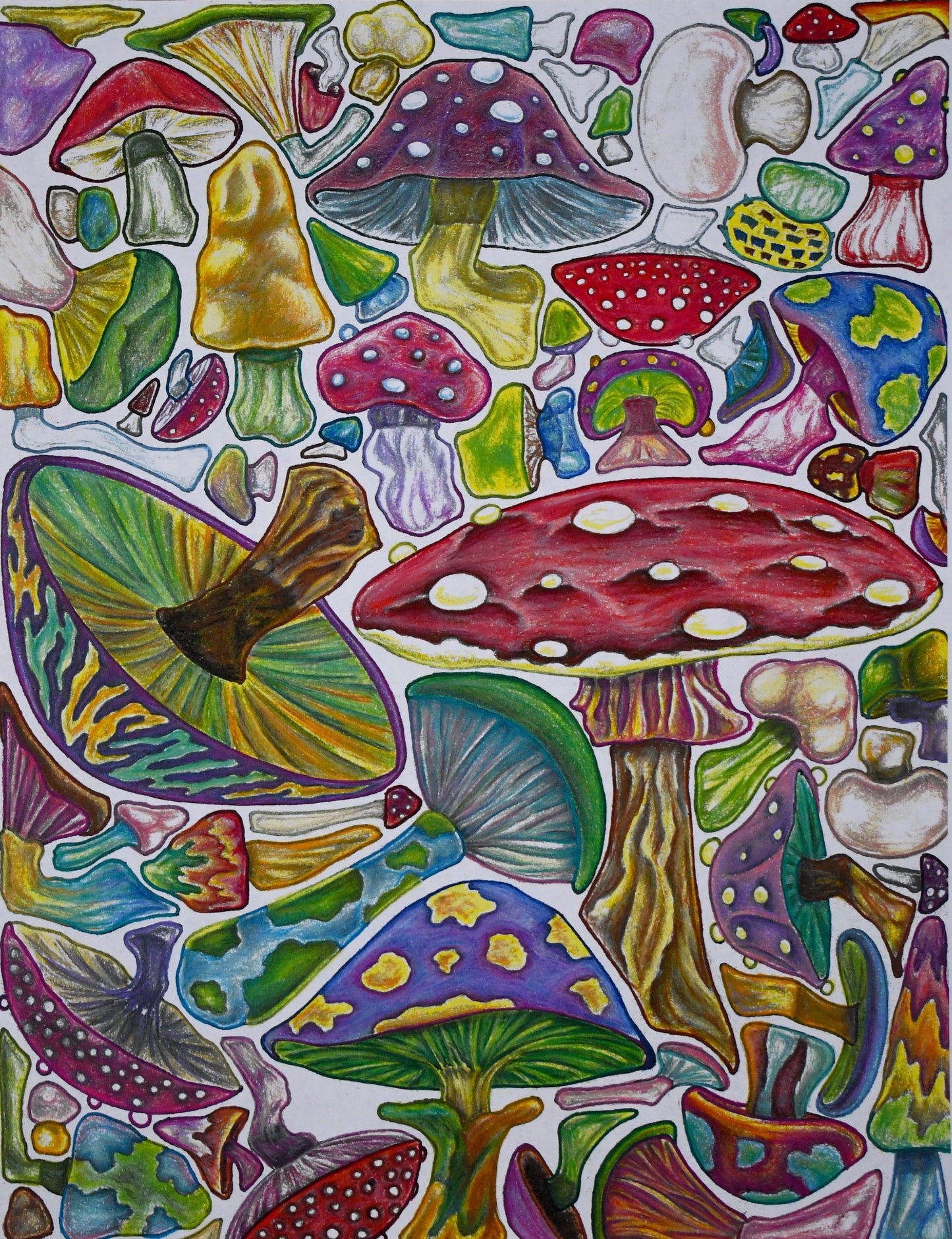 Fungus Among Us Poster Print