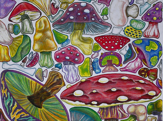 Fungus Among Us Poster Print
