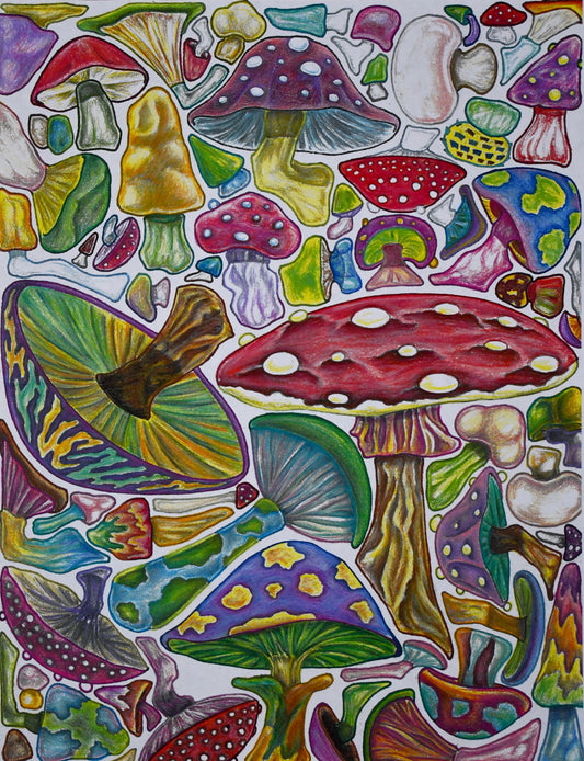 Fungus Among Us Poster Print